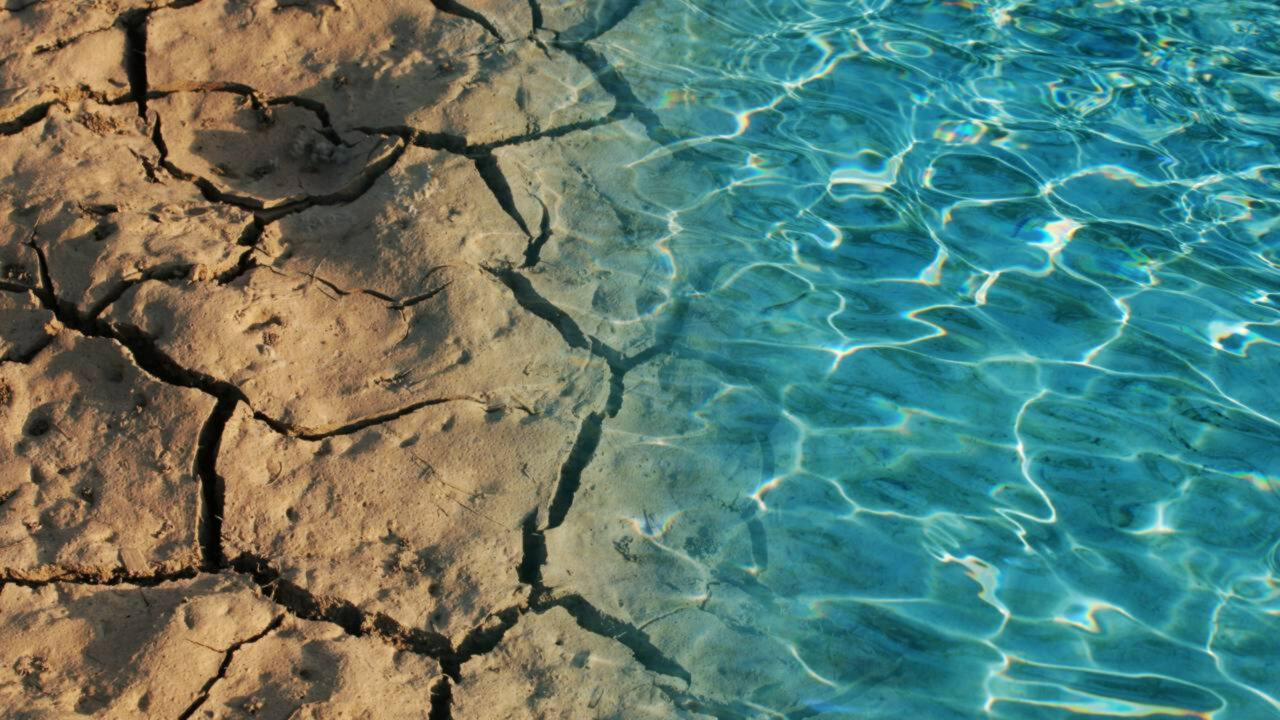 O deserto que já foi oceano guarda sinais impressionantes de um passado cheio de vida que muita gente nunca imaginou