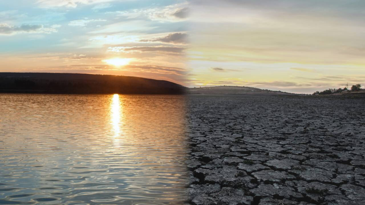 O deserto que já foi oceano guarda sinais impressionantes de um passado cheio de vida que muita gente nunca imaginou