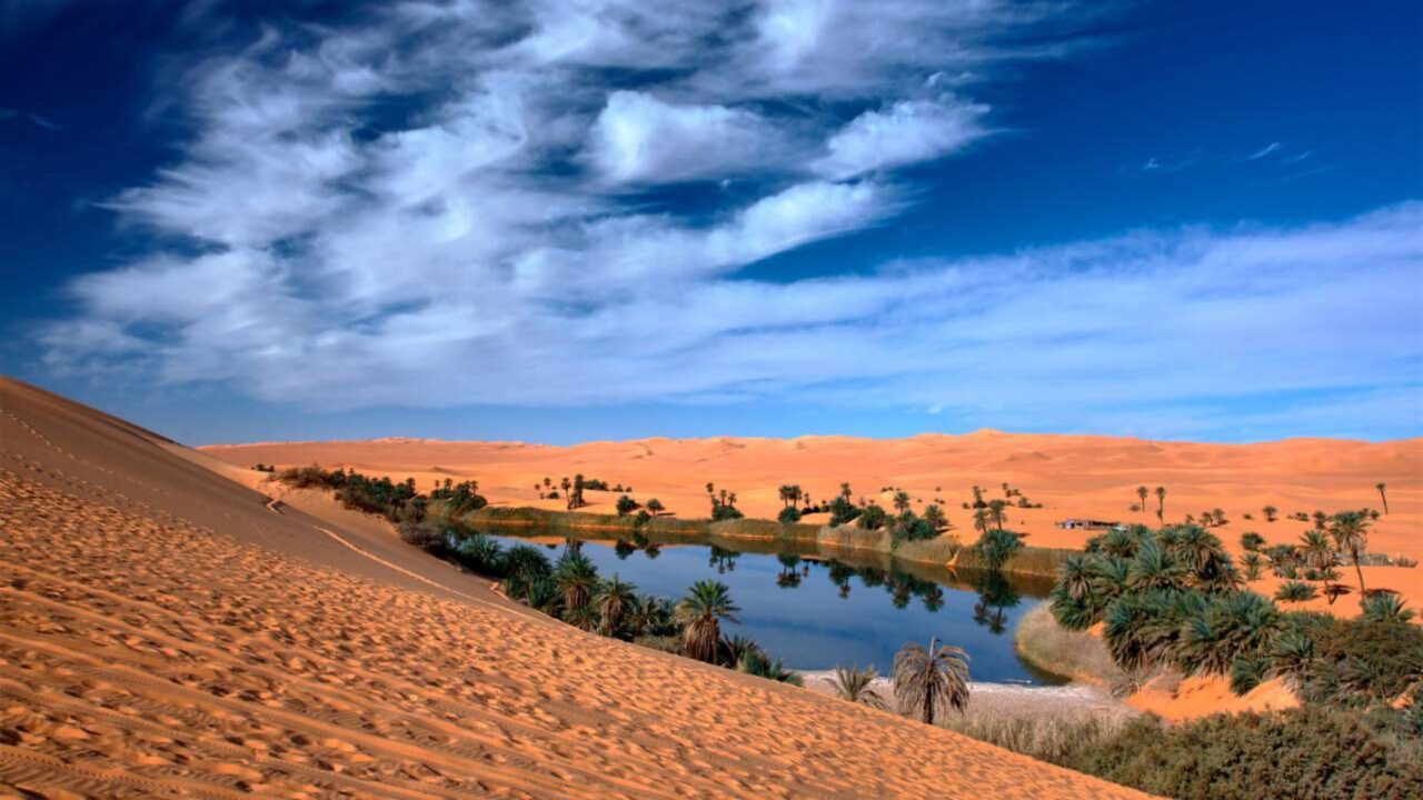 O deserto do Saara já foi um oceano? A história surpreendente escondida sob as areias