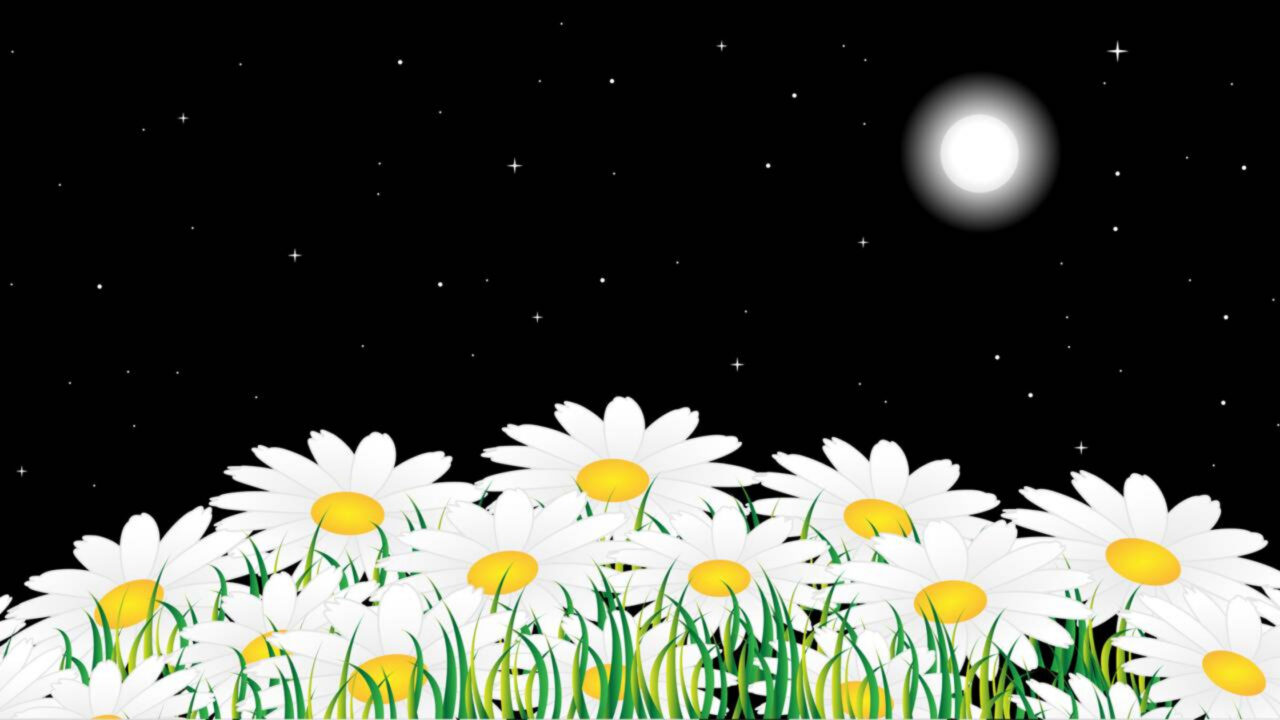 Por que algumas flores abrem à noite e revelam um fenômeno curioso da natureza