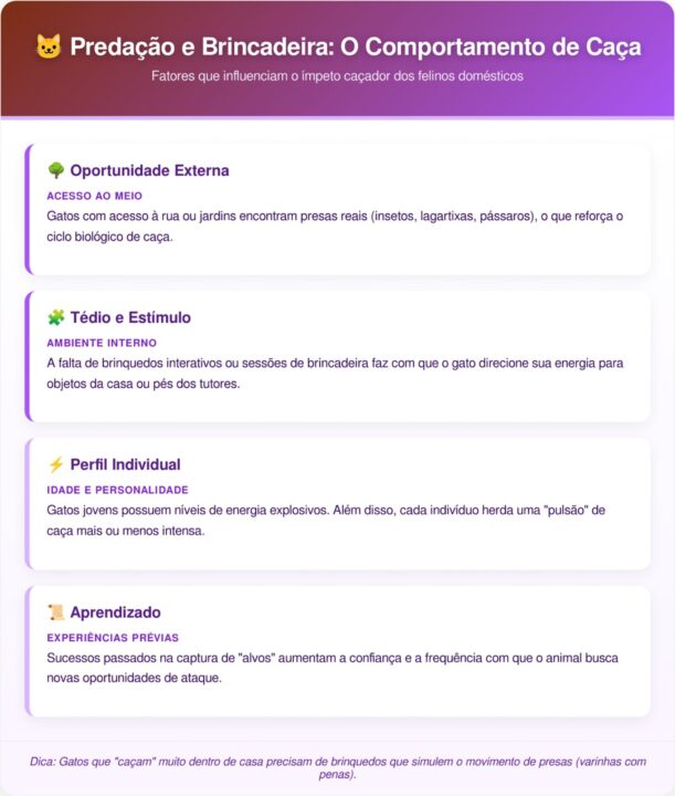 Por que seu gato traz animais mortos para você