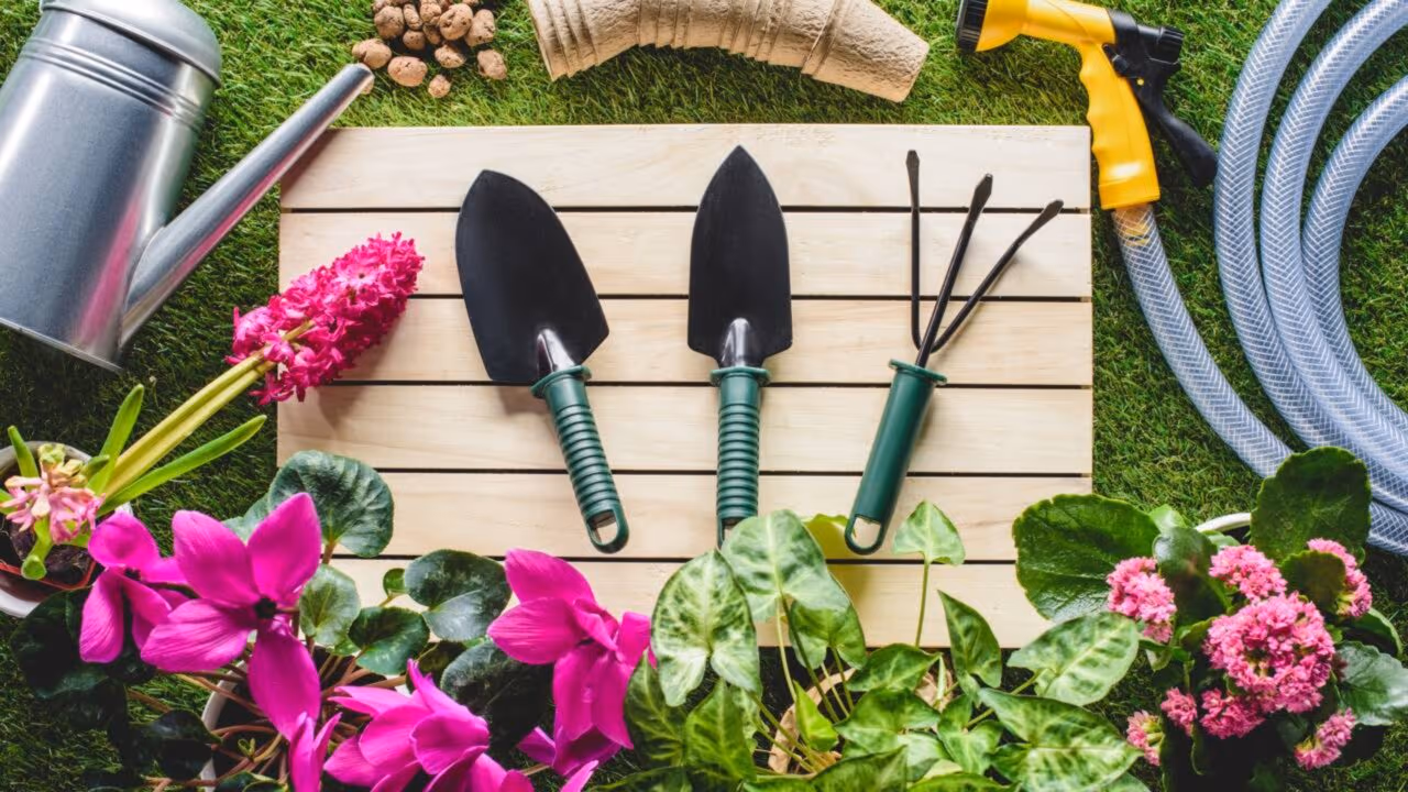 O que plantar em março de 2026 para aproveitar melhor a época e ter uma horta produtiva