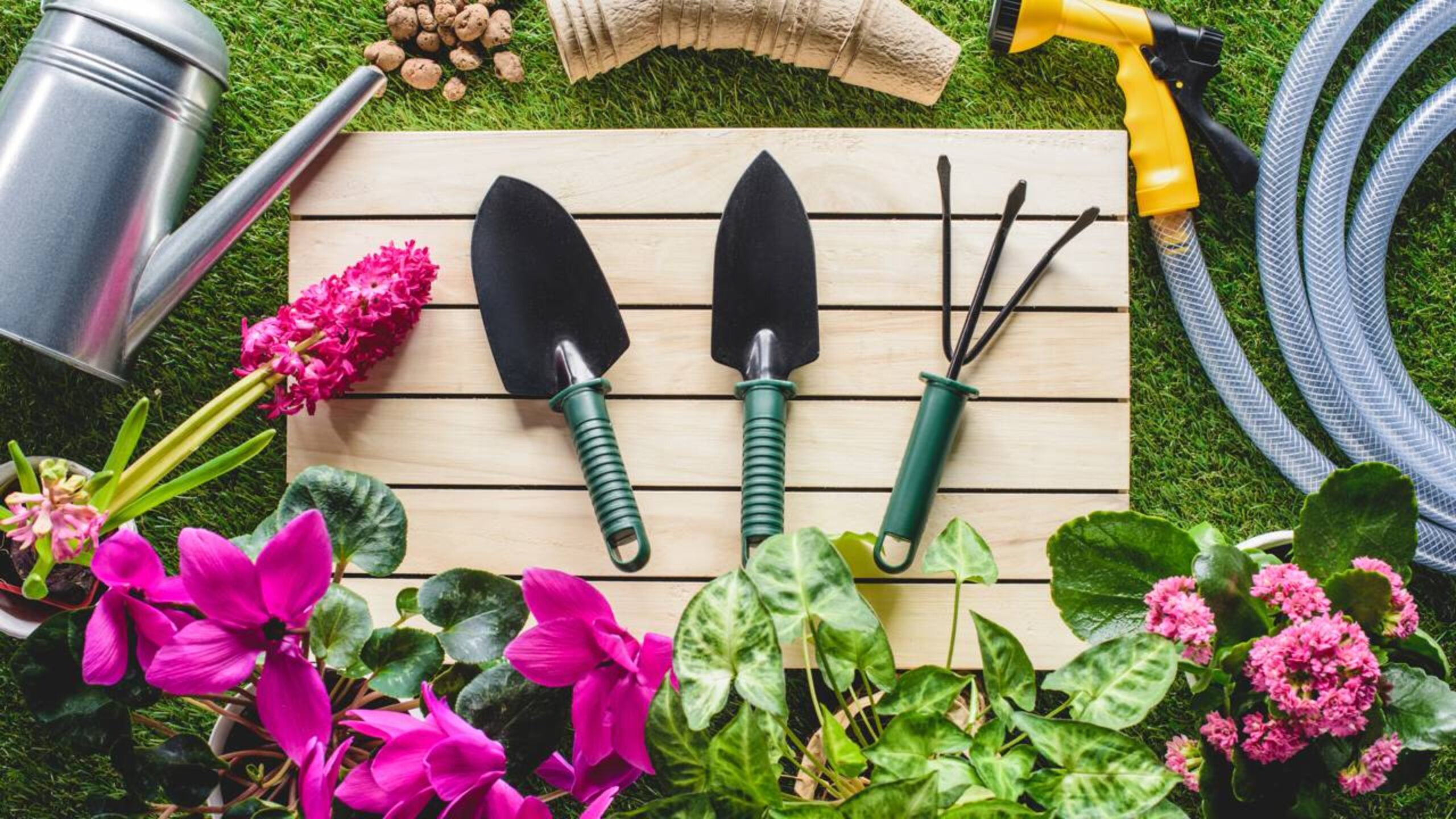 O que plantar em março de 2026 para aproveitar melhor a época e ter uma horta produtiva