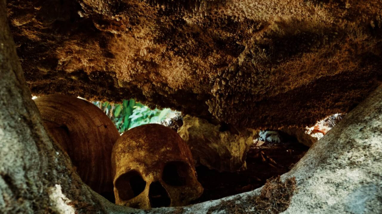 A ilha proibida onde ninguém pode entrar e quem tentou não voltou