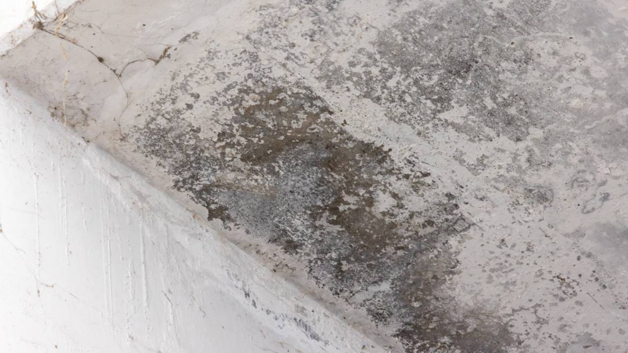 Mofo e infiltração podem ser grande sinais de que a obra não foi bem feita - Créditos: depositphotos.com / toa55