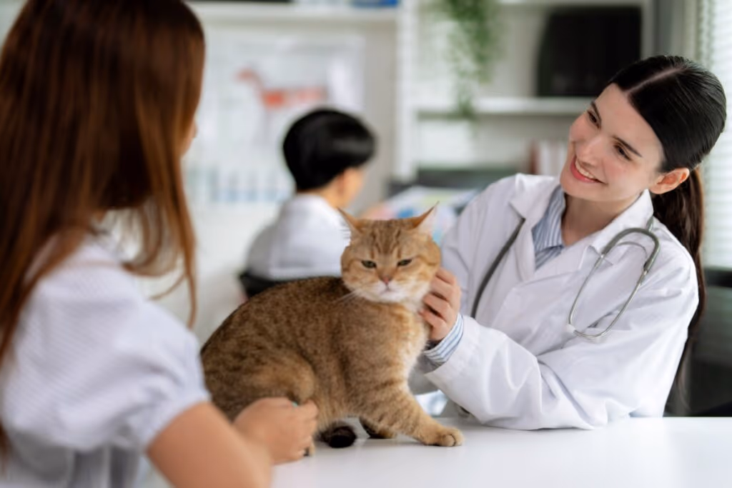 3 doenças causadas por vermes em animais de estimação