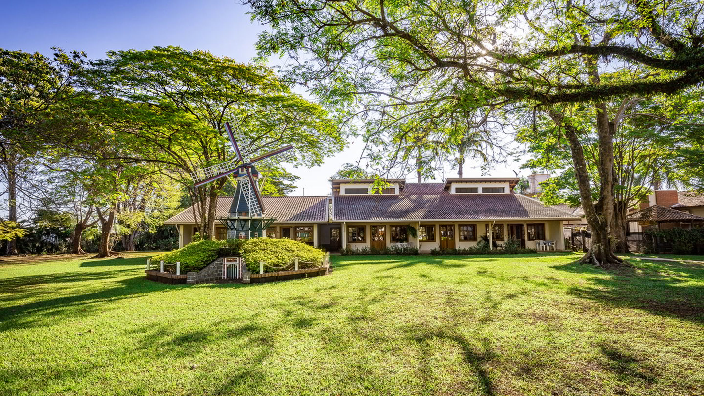 500 famílias holandesas fundaram uma cidade com moinhos e tulipas no interior de São Paulo que abriga uma vida com segurança e qualidade de vida europeia