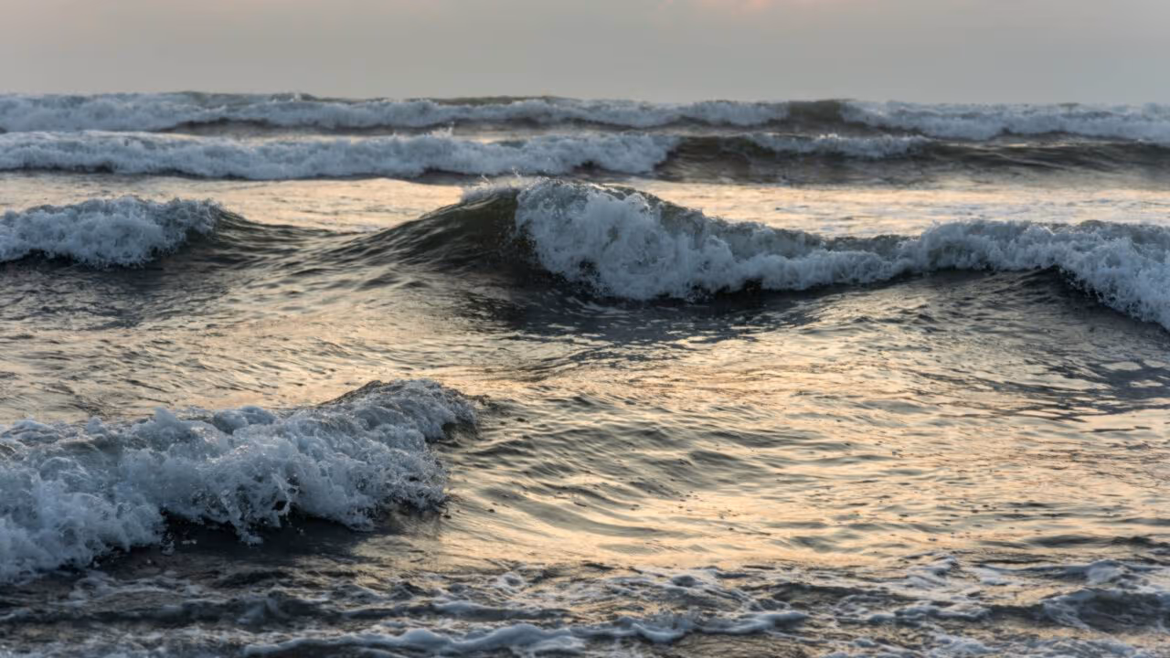 O que aconteceria se o oceano perdesse o sal e como isso mudaria completamente a vida na Terra