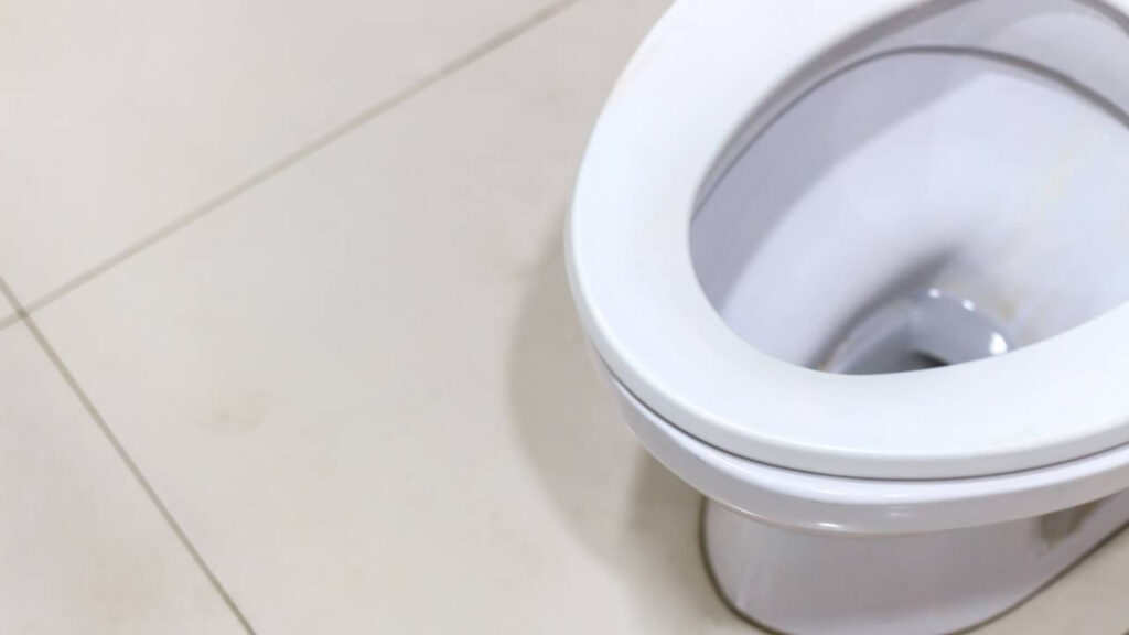 Como limpar vaso sanitário encardido com crosta gastando menos de 3 reais