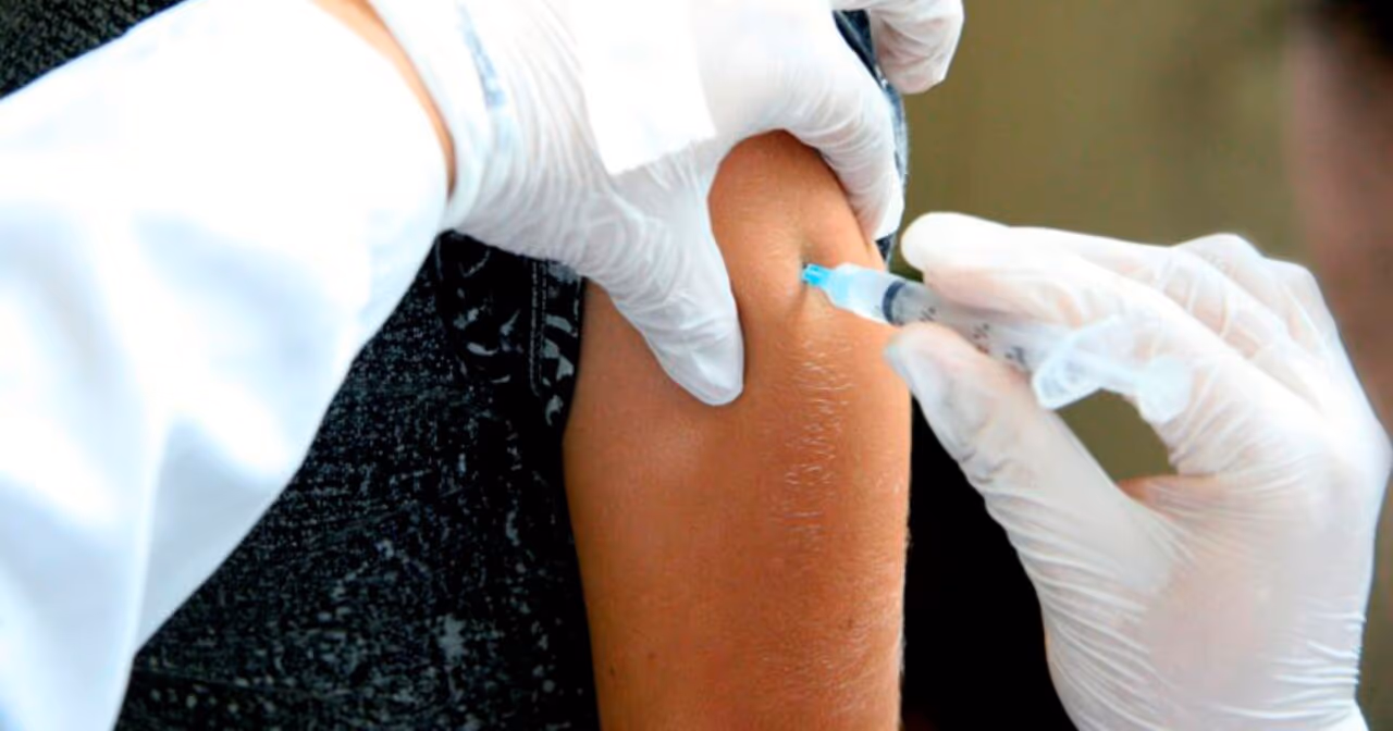 SP registra três mortes por febre amarela em 2026