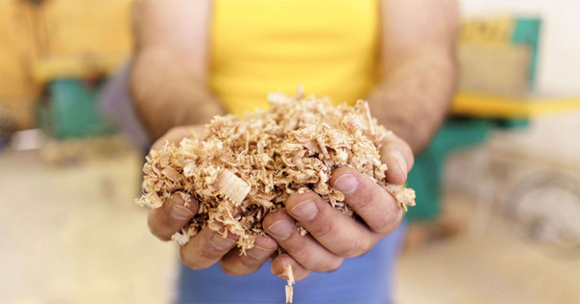 USP cria biorreator barato para decompor resíduo industrial