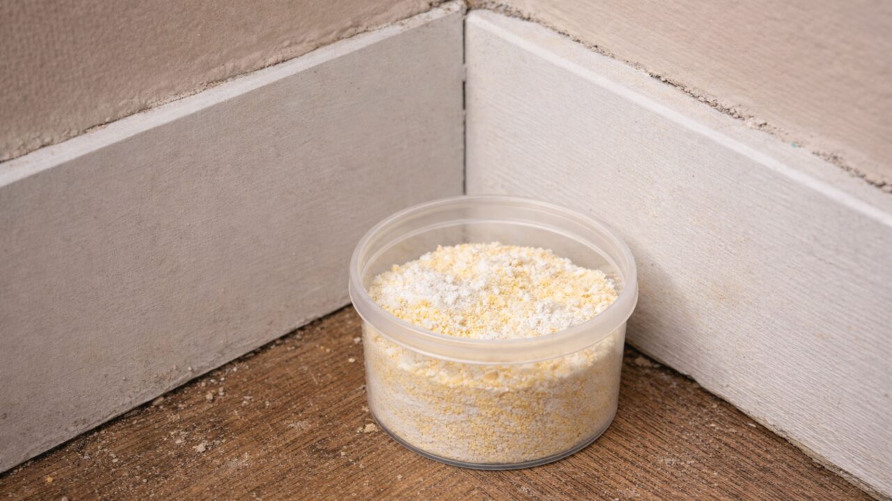 O truque implacável das fazendas usando gesso e fubá que acaba com ratos no forro do telhado