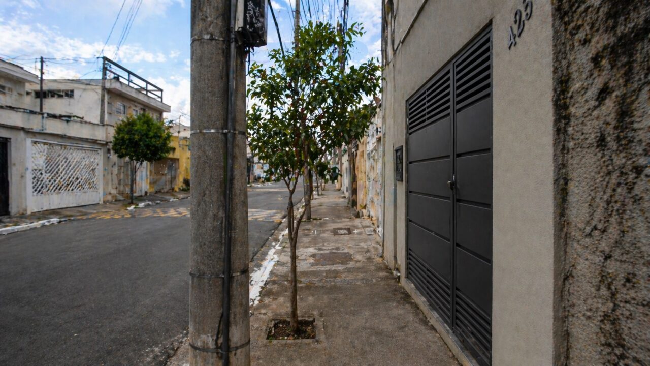 O que a lei diz sobre plantar árvores frutíferas na calçada em frente de casa e quando isso pode ser proibido