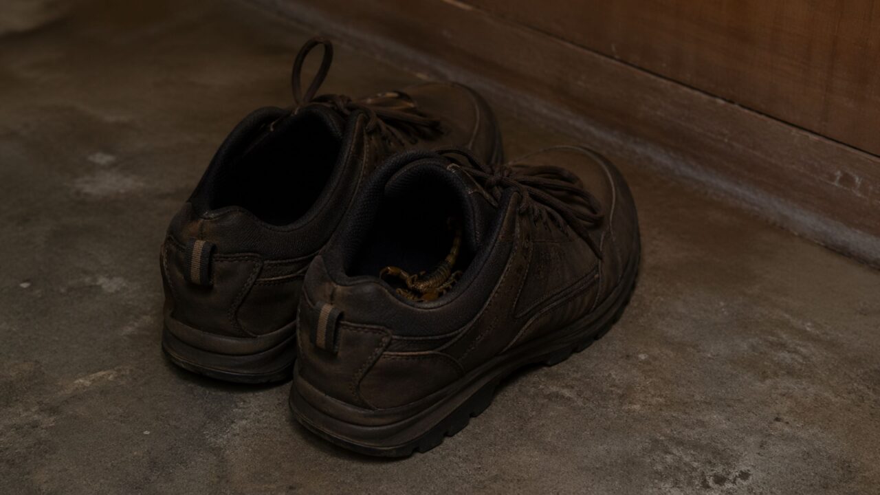 Biólogo revela onde o escorpião amarelo se esconde e o que você pode fazer para evitar que ele entre na sua casa