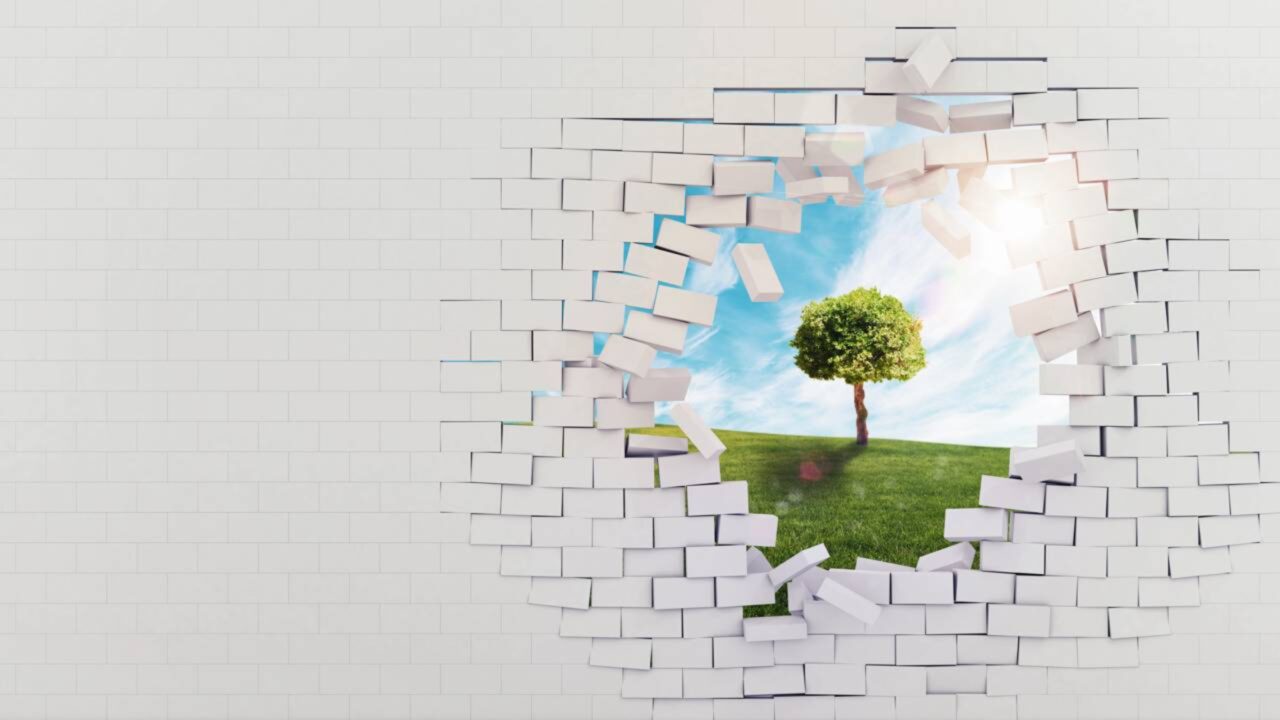Adeus entulho: a invenção inédita de uma brasileira que transforma o lixo das obras em tijolo 100% sustentável