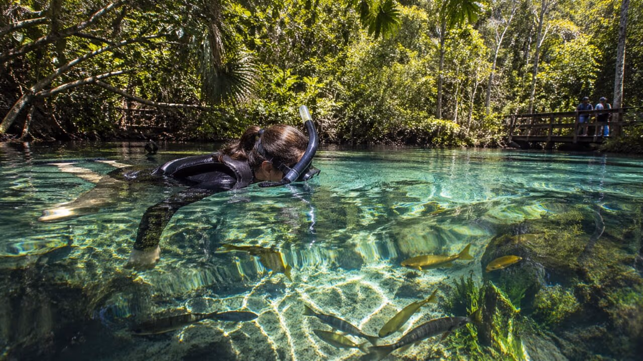 O paraíso de águas cristalinas no Centro-Oeste que virou sonho de viagem entre brasileiros