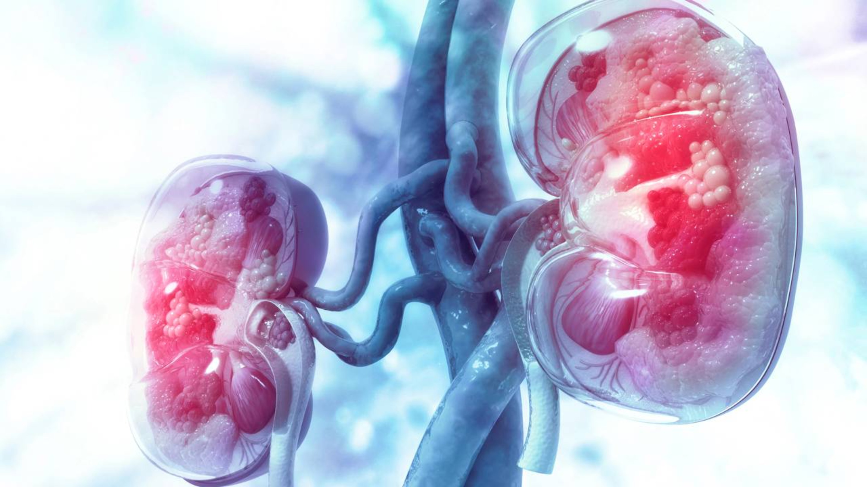 Borja Quiroga, nefrologista: “Quando bebemos menos de um litro e meio de água, os rins podem ficar desidratados e podemos sofrer muito”