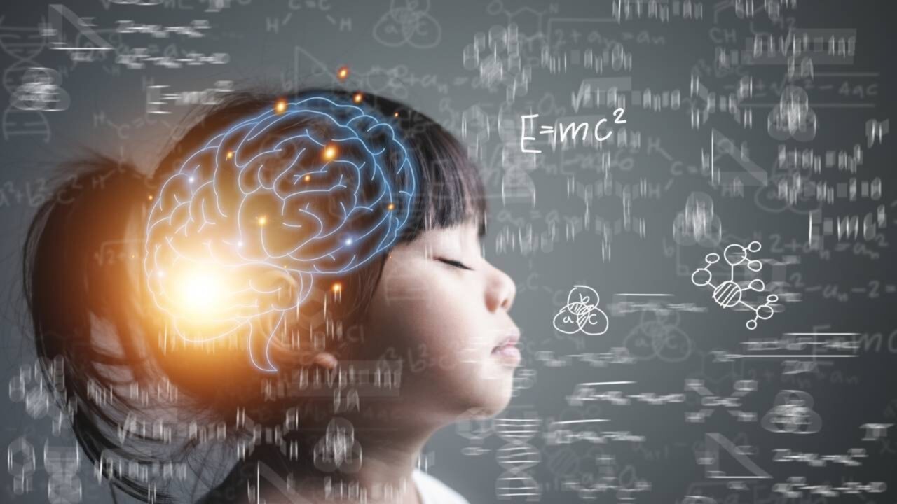 Cientistas explicam de onde vem a inteligência das crianças e o que realmente molda o cérebro infantil