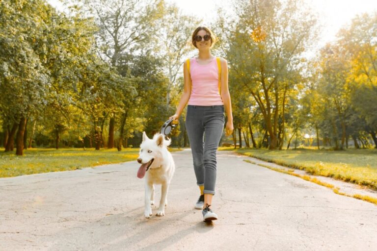 5 dicas para fortalecer o vínculo com o pet e reduzir o estresse