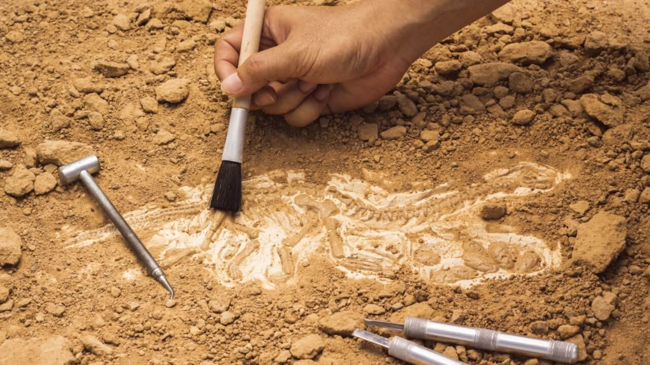 Descoberta na Índia pode mudar o que sabemos sobre a origem da civilização