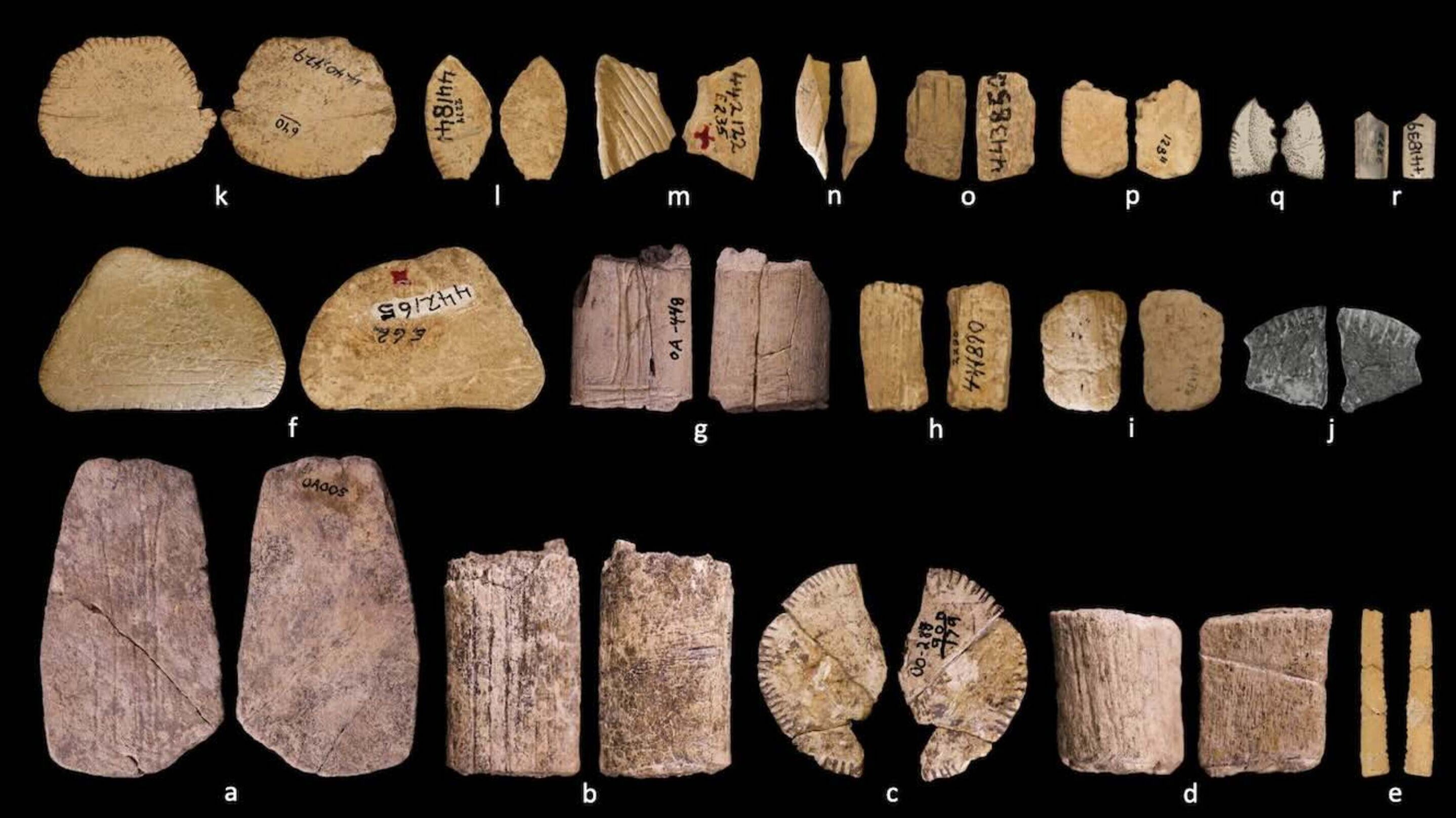 Primeiros dados da história de 12 mil anos são descobertos e eram indígenas