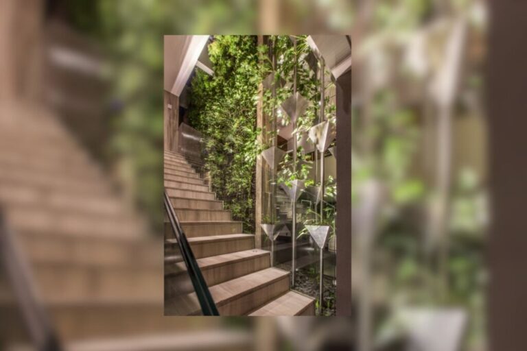 Jardim sensorial: veja como criar um espaço que ativa os sentidos humanos