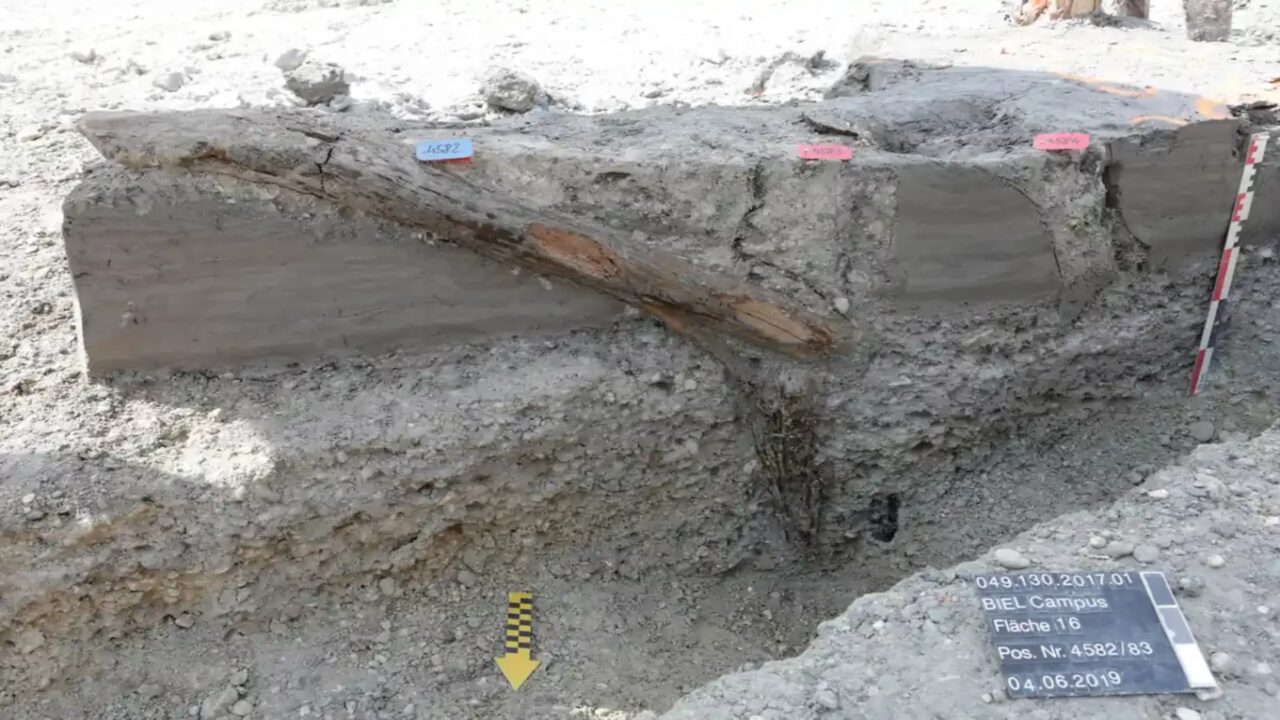 Mais de 1300 postes a uma profundidade de 5 metros revelam que tempestades e enchentes devastaram assentamento neolítico às margens do Lago Biel há 5860 anos