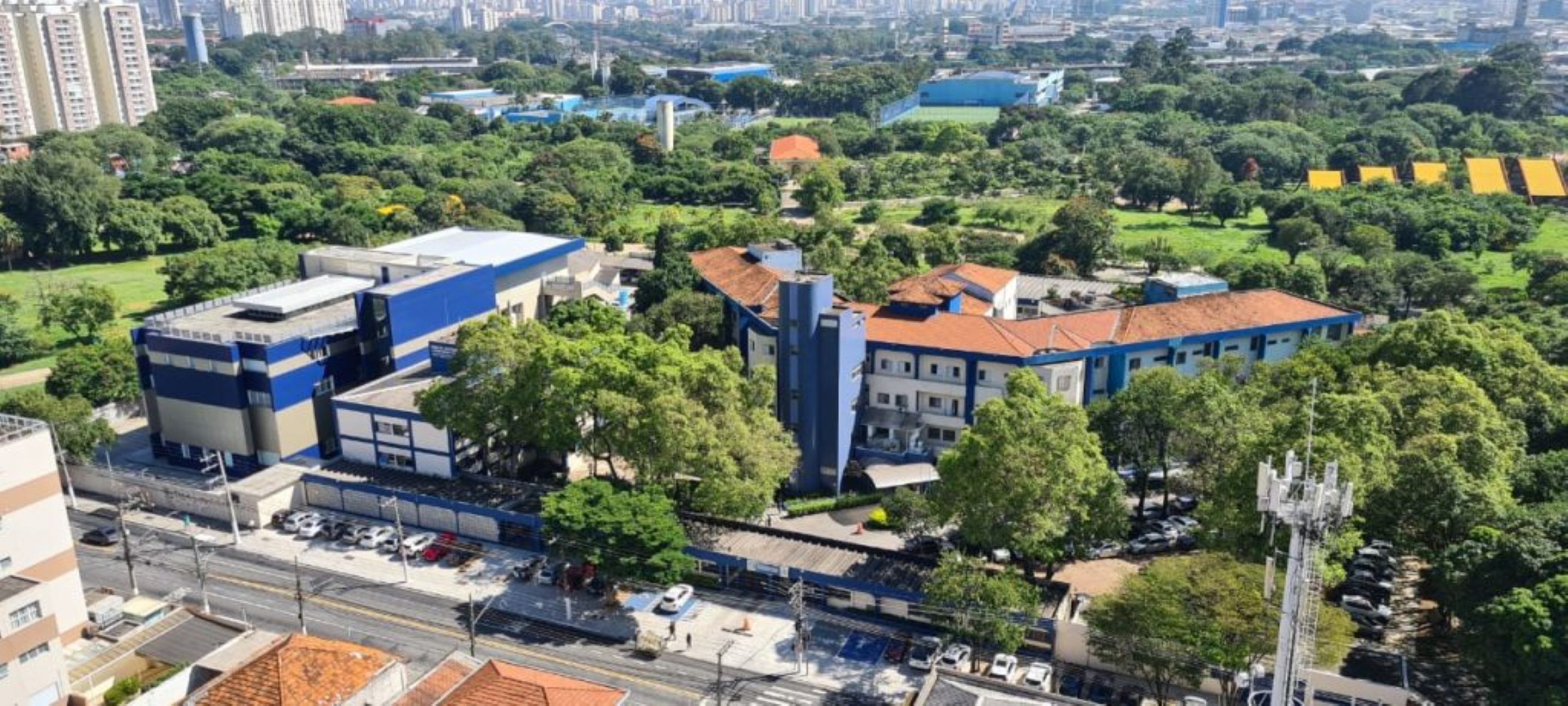 Hospital público de SP opera gêmeos ainda no útero