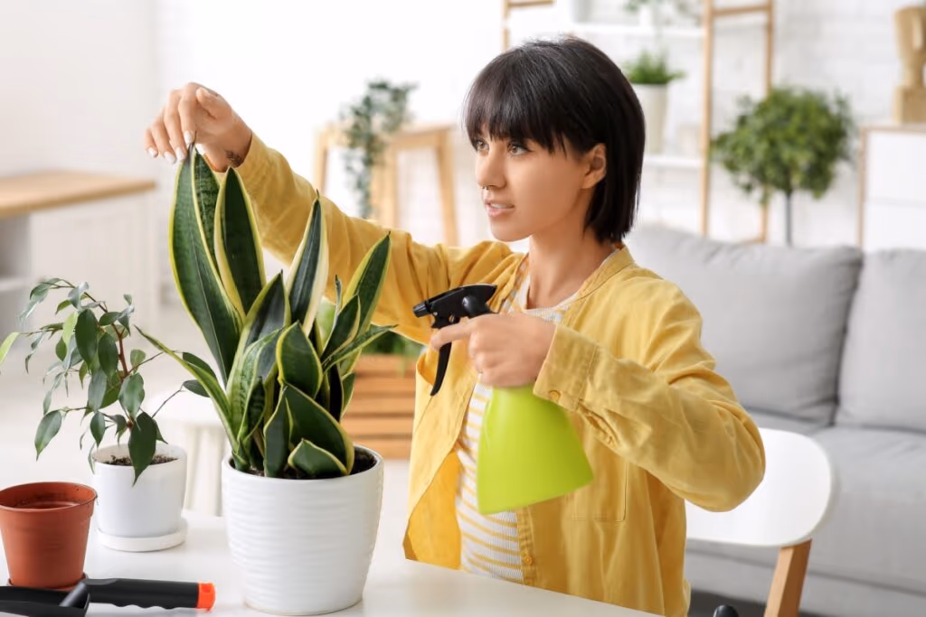 Feng Shui: 3 dicas essenciais para melhorar a energia da sua casa