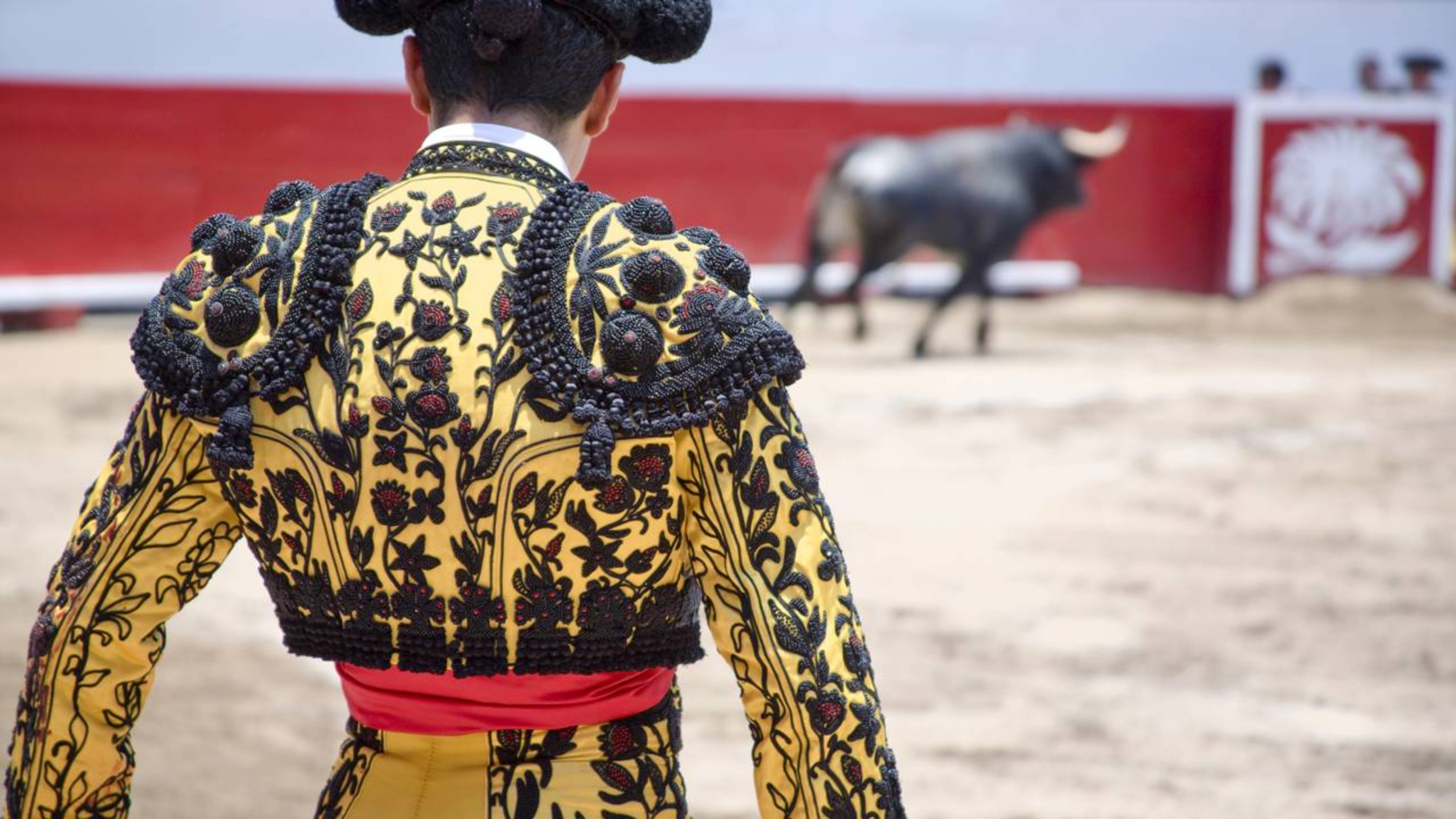 Toureiro morre após ataque brutal de touro antes de uma tourada no sul da Espanha