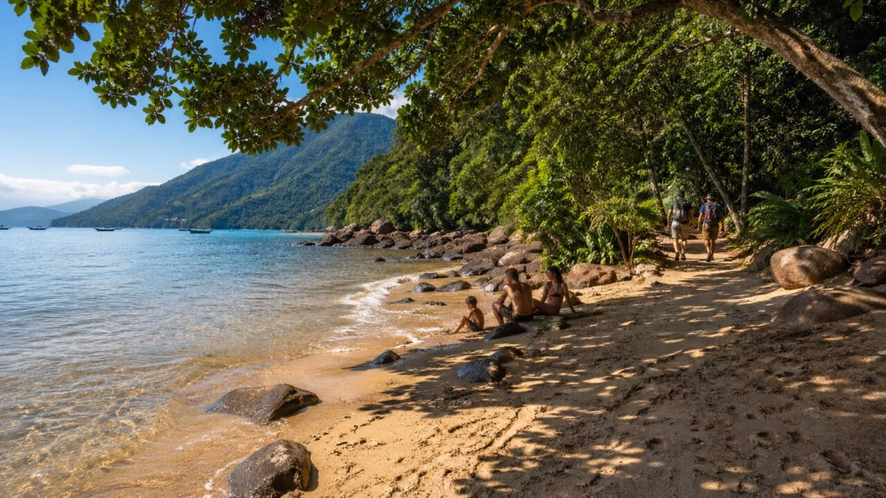 O destino litorâneo que une praias calmas, Mata Atlântica e cenários preservados em SP