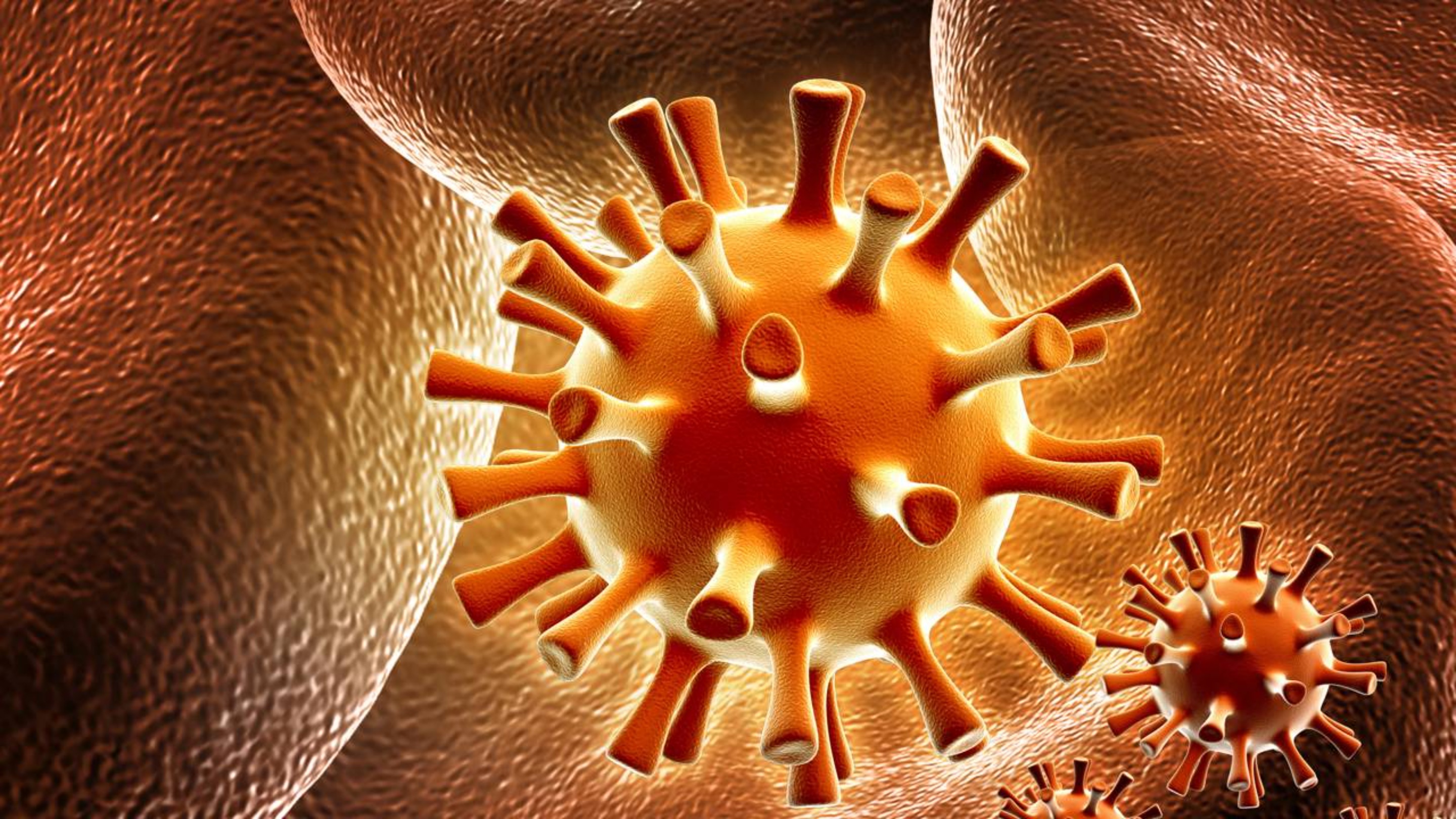 Vírus extremamente contagioso já atingiu 90% da população brasileira e mesmo assim ainda não tem cura