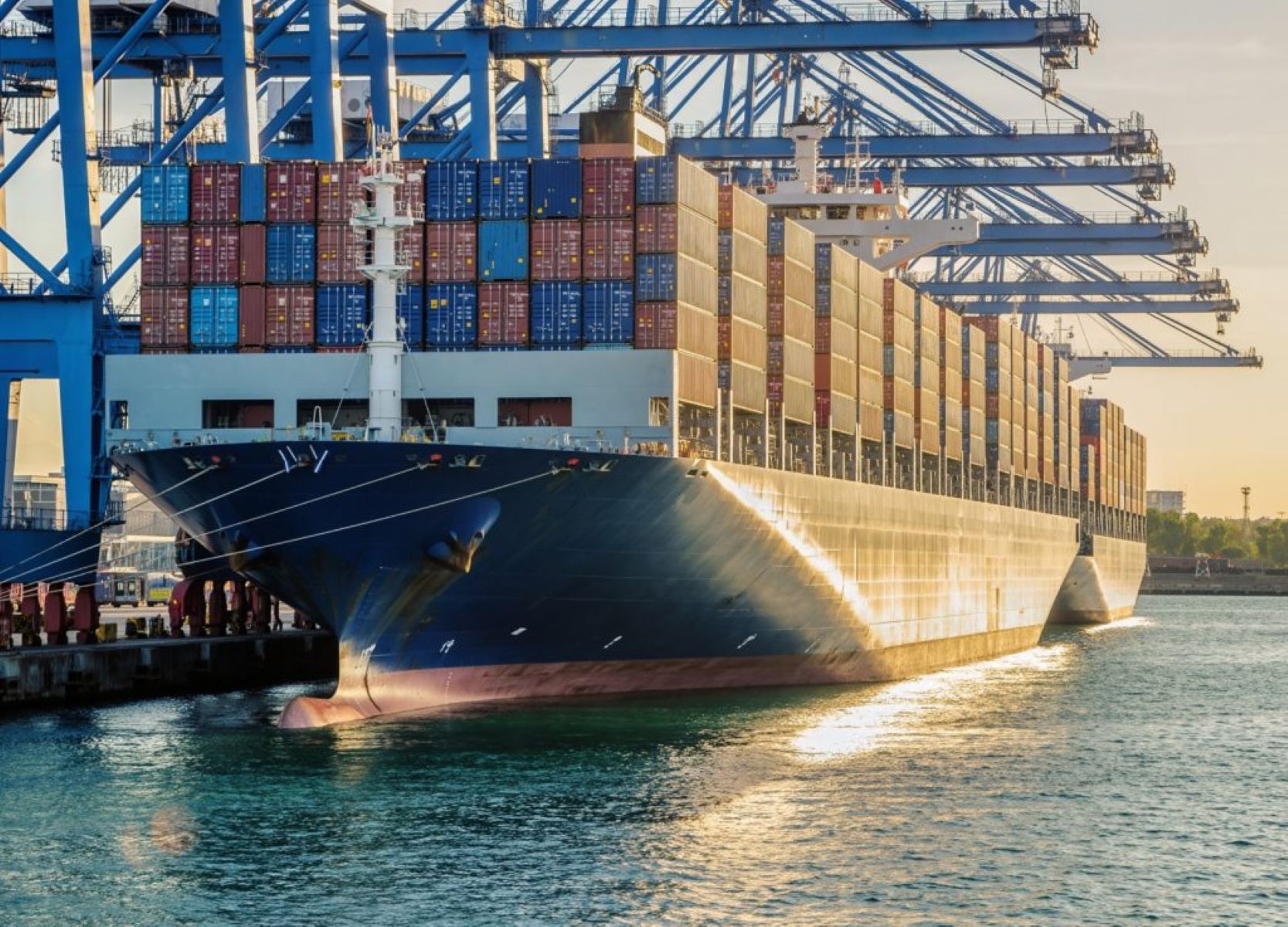 Agro paulista supera US$ 900 milhões em negócios com a Índia