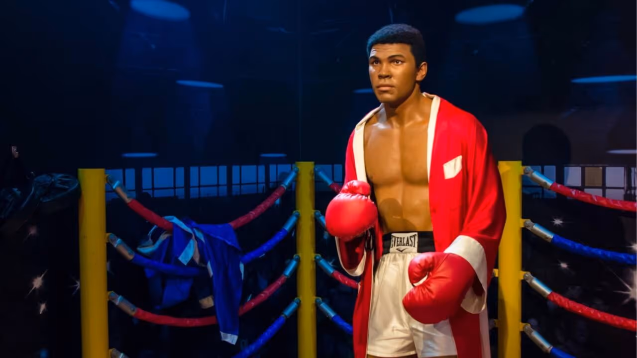 Muhammad Ali sobre disciplina: “Eu odiei cada minuto do treino, mas disse: não desista. Sofra agora e viva o resto da sua vida como um campeão.”