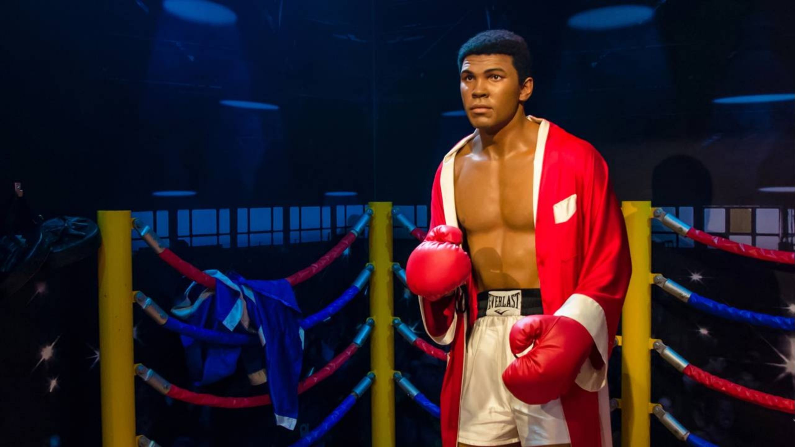 Muhammad Ali sobre disciplina: “Eu odiei cada minuto do treino, mas disse: não desista. Sofra agora e viva o resto da sua vida como um campeão.”