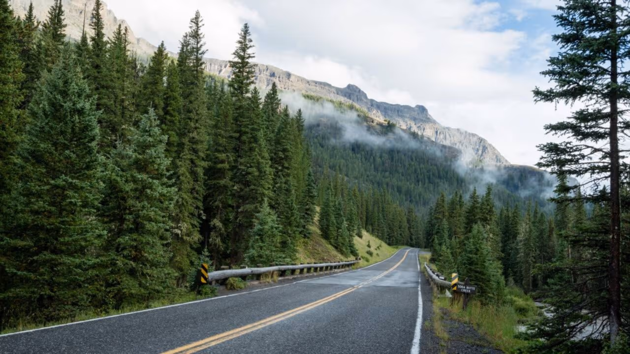 Uma rodovia de 109 km é chamada de ‘Estrada mais bonita da América’: é uma forma cênica de acessar o Parque Nacional de Yellowstone