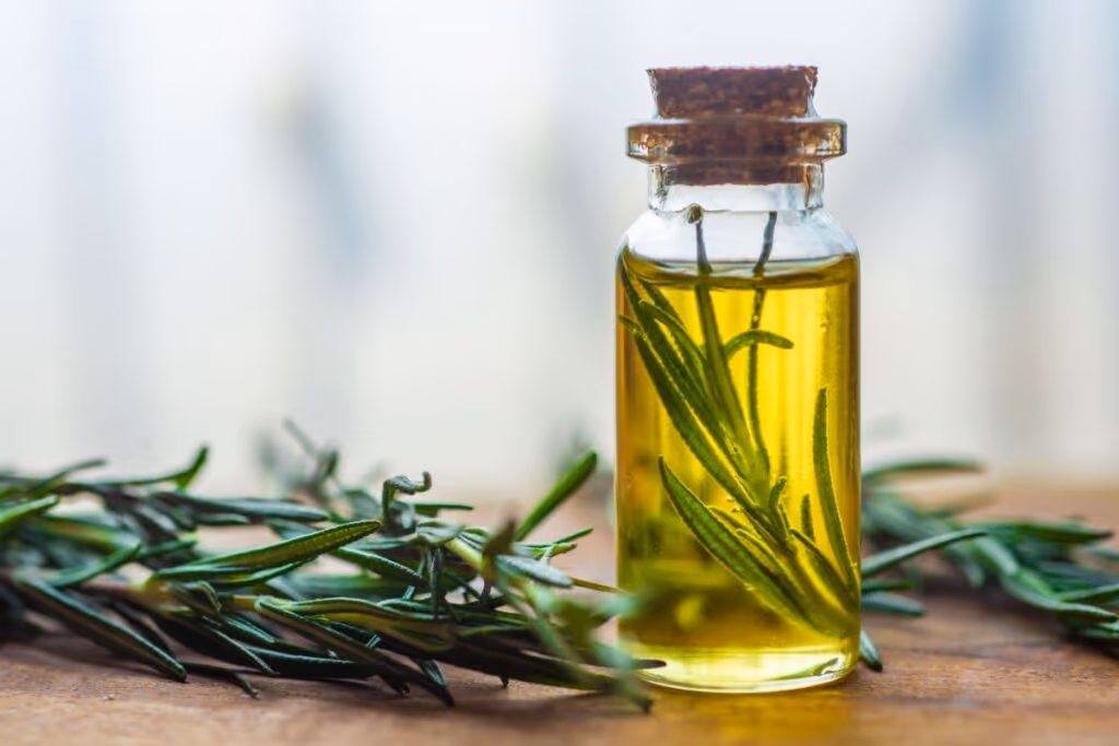 Alecrim: 5 motivos para ter em casa a planta que ajuda a limpar as energias