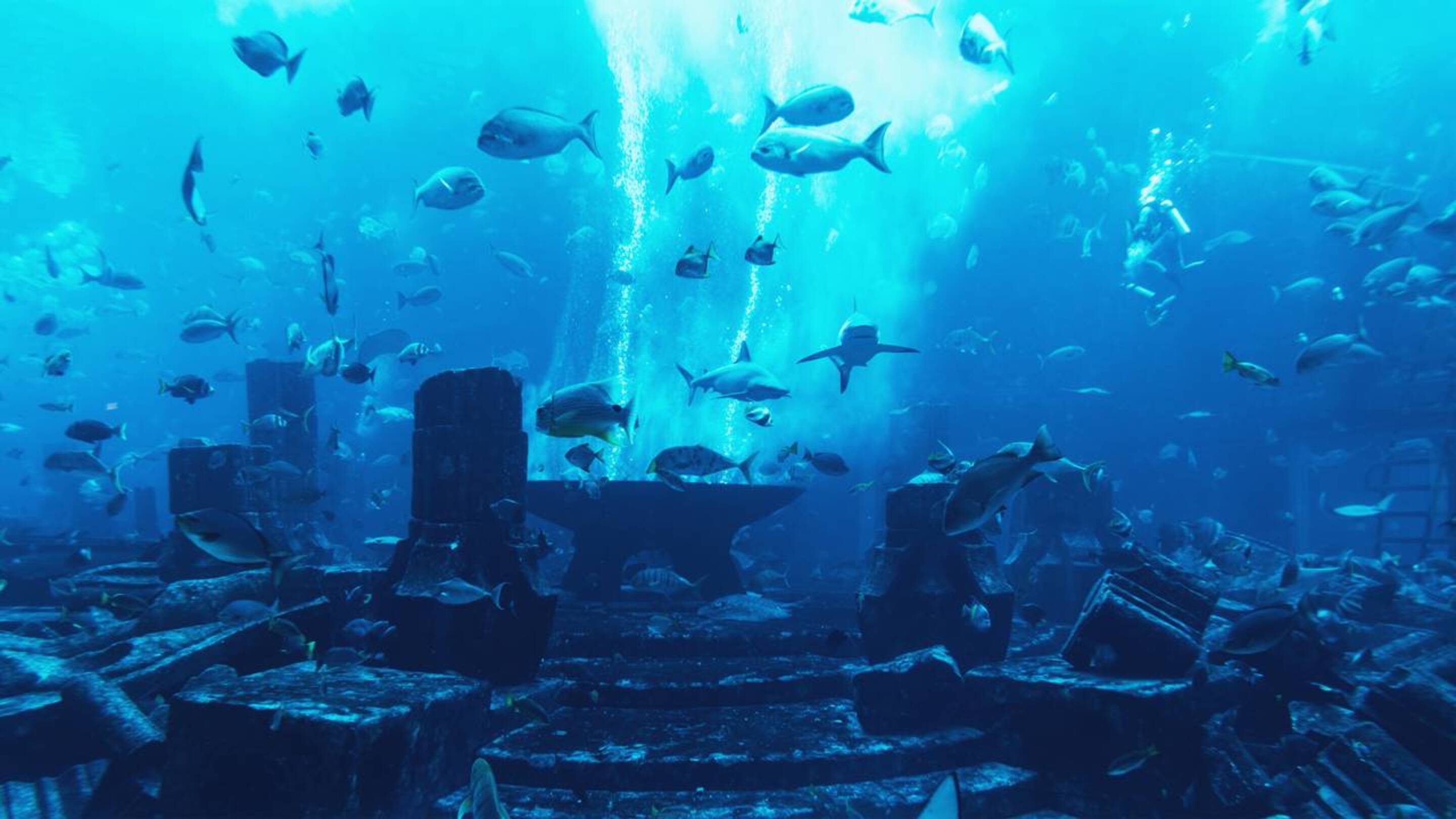 O que as pesquisas revelam sobre a possível localização da cidade de Atlântida