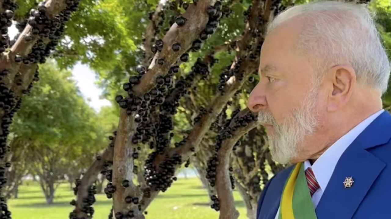 Lula diz que jabuticaba acalma e menciona envio a Trump e Xi Jinping