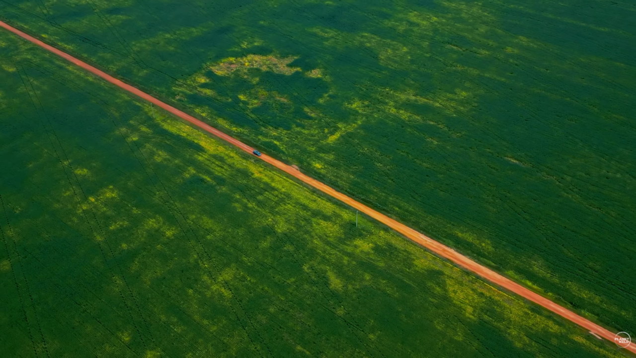 Um corredor de natureza com mais de 2.600 km está sendo construído em pleno Cerrado