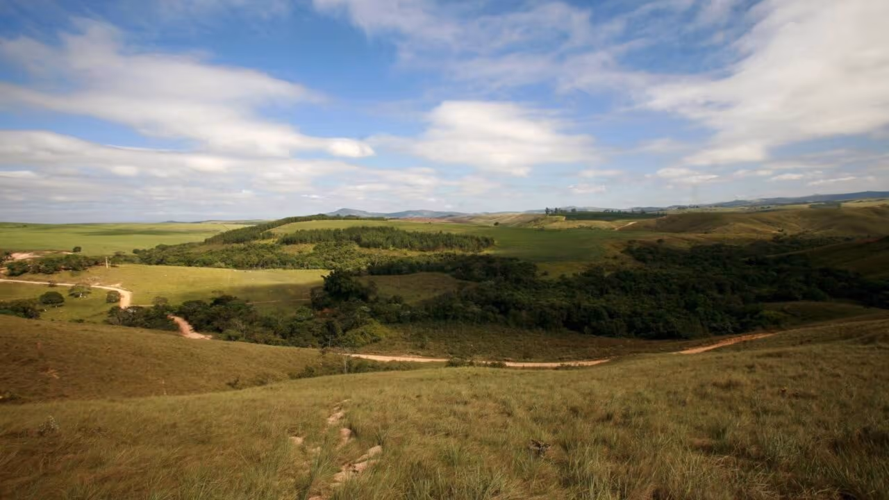 Um corredor de natureza com mais de 2.600 km está sendo construído em pleno Cerrado