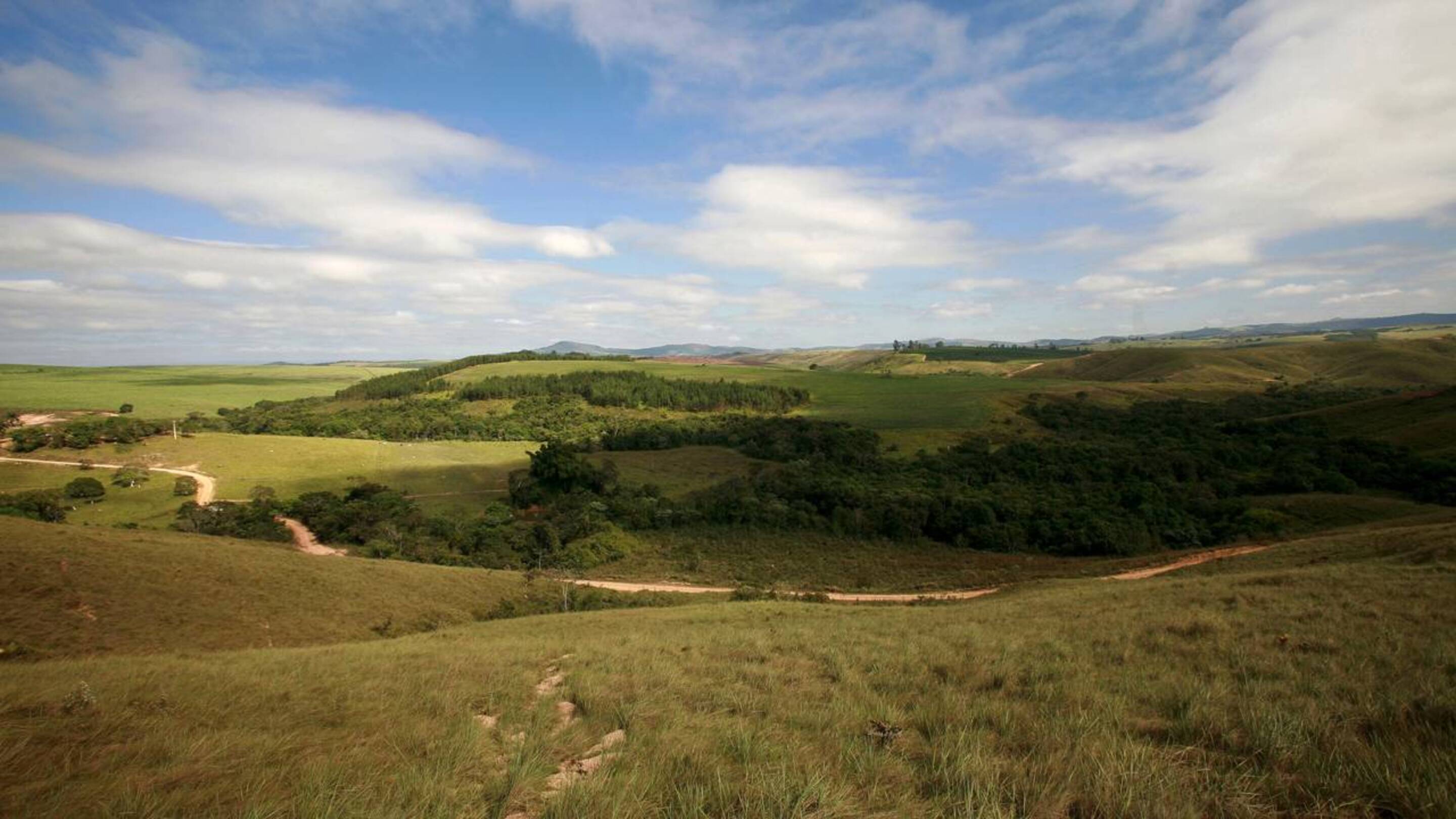 Um corredor de natureza com mais de 2.600 km está sendo construído em pleno Cerrado