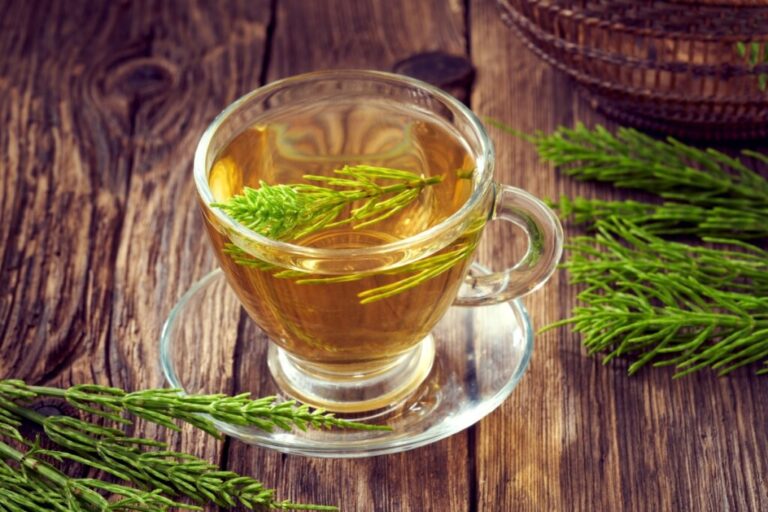 Chás naturais: 7 plantas que devem ser consumidas com cuidado
