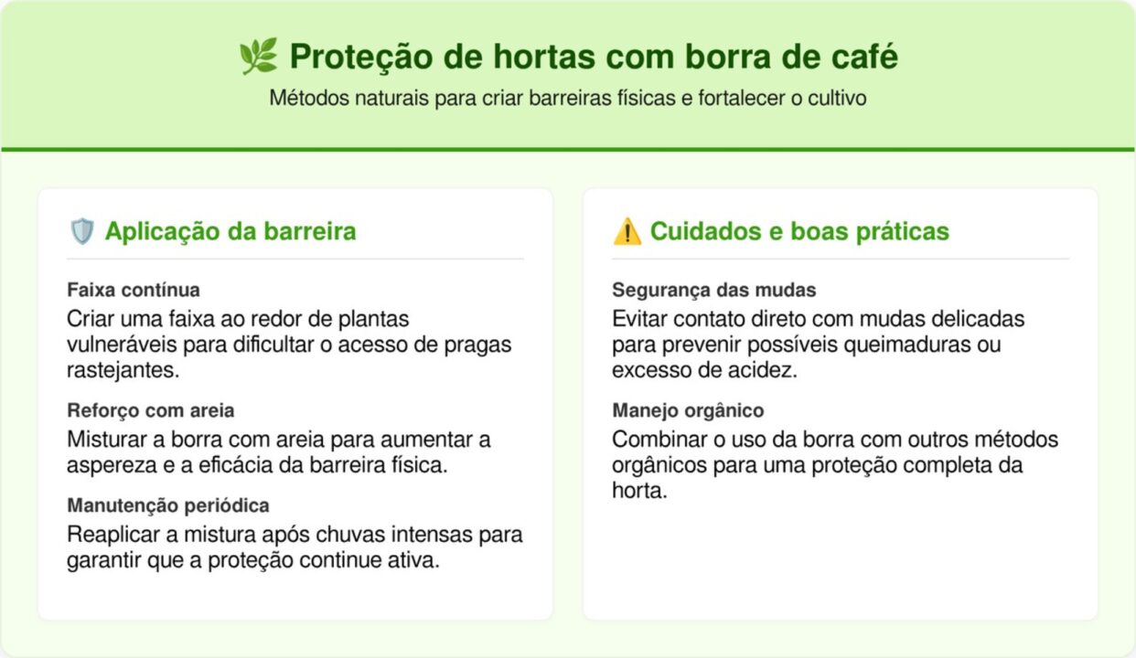 Como usar borra de café para afastar caracóis e lesmas do seu canteiro