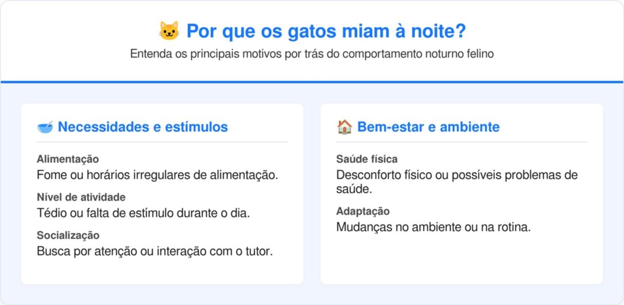 O que significa o seu gato ficar miando a noite