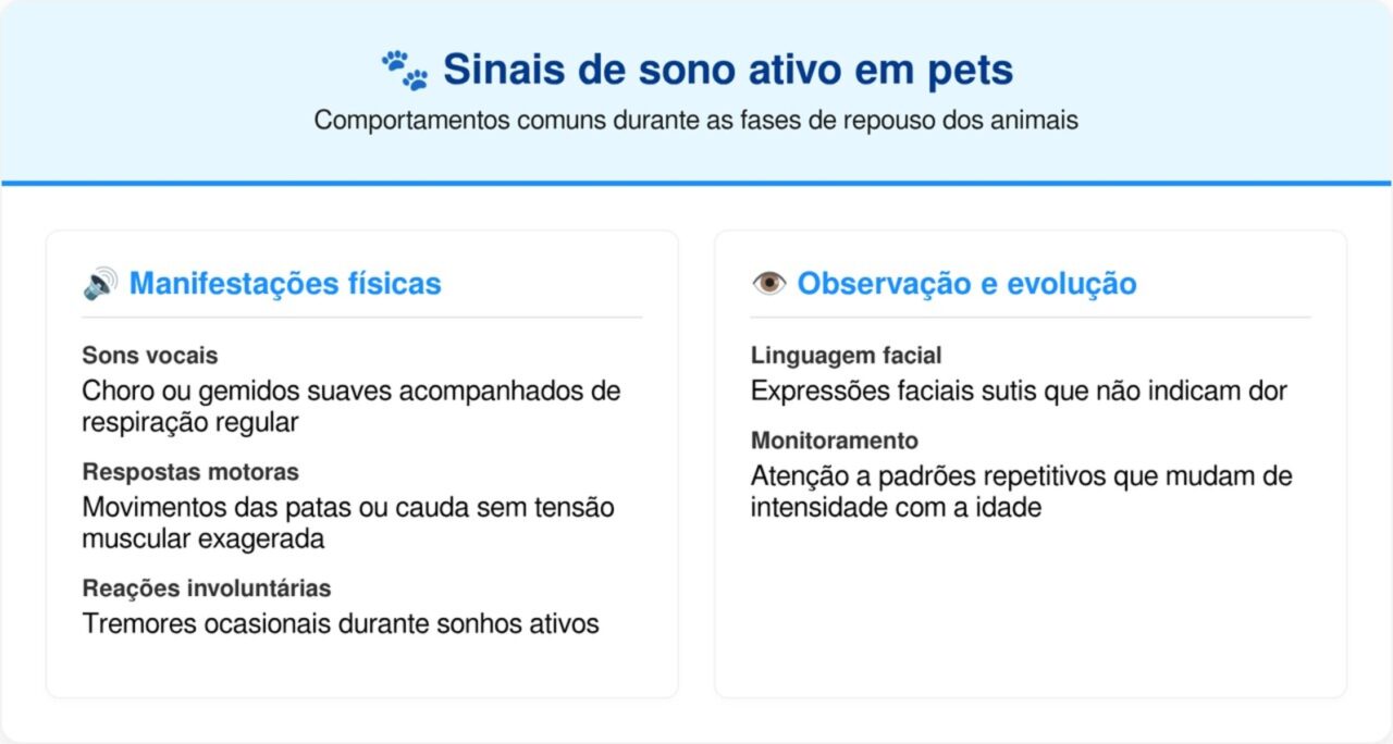 Entenda por que seu cão chora ou movimenta as patas enquanto está dormindo profundamente