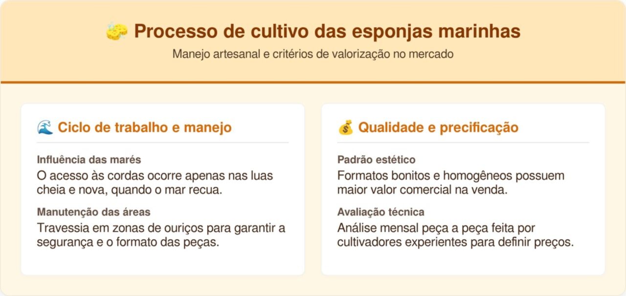 Zanzíbar: a ilha paradisíaca que você vai se apaixonar