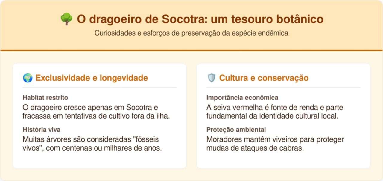 Como é a dentro da ilha mais remota do mundo