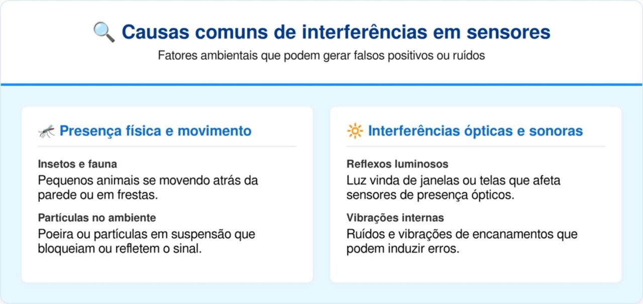 Entenda por que seu gato fica "congelado" olhando para um ponto vazio da parede 