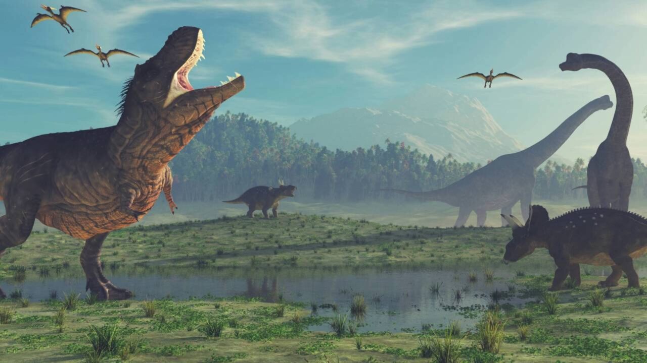Ovos de dinossauro de 72 milhões de anos são encontrados